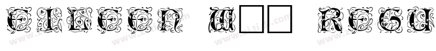 Eileen W01 Regular字体转换